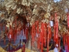 Blessing Tree at Famen Temple
