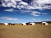 Mongolia Grasslands