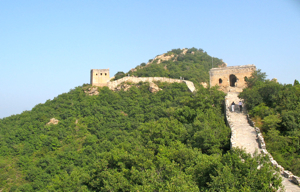 Great Wall of China surrounded by trees